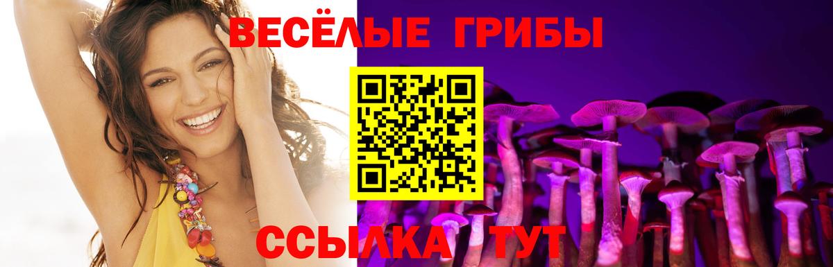 Галлюциногенные грибы Cubensis  Вход с VPN  Ростов-на-Дону 